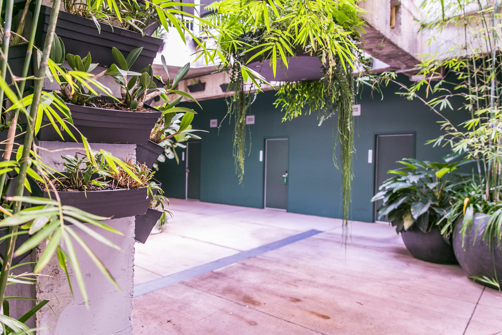The Urban Newtown Hotell Sydney Exteriör bild